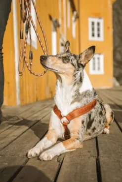 Hurtta Valjaat^Casual Y-Harness ECO valjaat, 80 - 100 cm, minttu