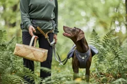 Hurtta Expedition Belt ECO juoksuvyö, 70-110cm, Blackberry| Koiranomistajan Tarvikkeet