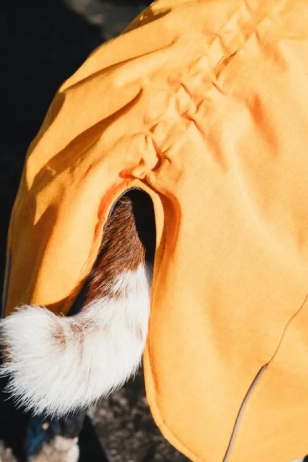 Hurtta Talvitakit^Expedition parka, 60 cm, oranssi