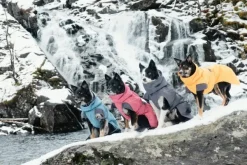 Hurtta Expedition Parka Bilberry 20 cm| Talvitakit