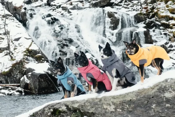 Hurtta Talvitakit^Expedition Parka koirantakki, 30cm XL, Bilberry