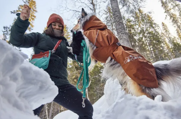 Hurtta Sadetakit^Monsoon Coat II ECO koirantakki, 60-70 cm, Desert