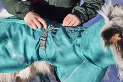 Hurtta Monsoon Coat II ECO koirantakki, 60-70 cm, Peacock| Sadetakit