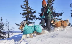 Hurtta Sadetakit^Monsoon Coat II ECO koirantakki, 80 cm, Peacock