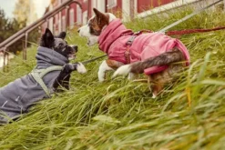 Hurtta Razzle Dazzle Midlayer koiran takki, 25-40 cm, harmaa/vihreä| Fleecetakit