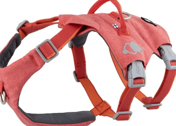 Hurtta Safeguard ECO Sele valjaat, 55-80cm, Strawberry| Valjaat