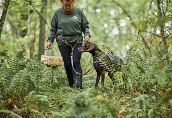 Hurtta Safeguard ECO Sele valjaat, 75-95cm, Blackberry| Valjaat