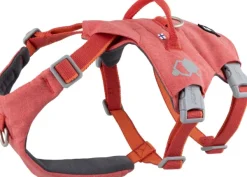 Hurtta Valjaat^Safeguard ECO Sele valjaat, 40-60cm, Strawberry