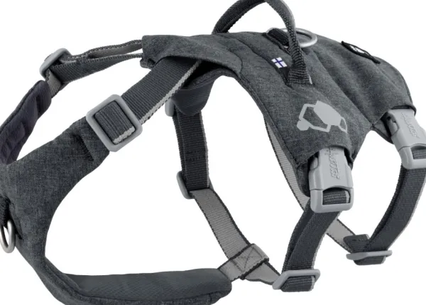 Hurtta Safeguard ECO Sele valjaat, 55-80cm, Blackberry| Valjaat