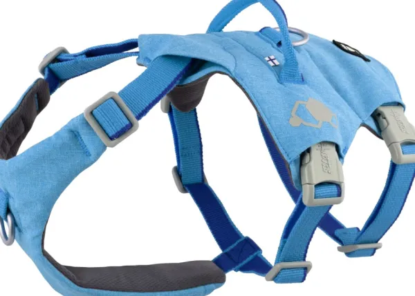 Hurtta Safeguard ECO Sele valjaat, 55-80cm, Ocean| Valjaat