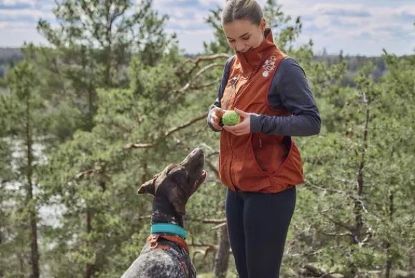 Hurtta Koiranohjaajan Vaatteet^Training Vest ECO treeniliivi, harmaa