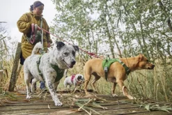 Hurtta Weekend Warrior II ECO Sele valjaat, 55-70cm, Raven| Valjaat