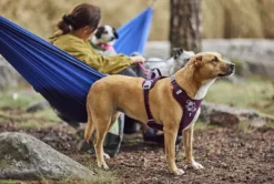 Hurtta Weekend Warrior II ECO Sele valjaat, 55-70cm, Eggplant| Valjaat