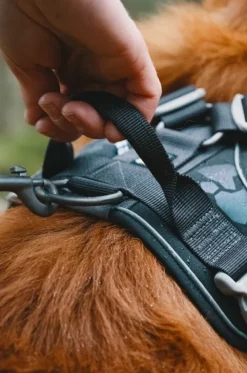 Hurtta Valjaat^Weekend Warrior -valjaat neonkeltainen 40-45 cm