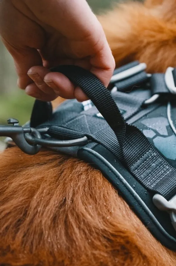 Hurtta Valjaat^Weekend Warrior -valjaat neonkeltainen 40-45 cm