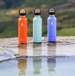 HydroFlask Eristetyt Juomapullot^Standard Mouth Flex 532 ml Dew