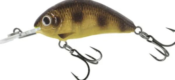 IFish Triss taimenelle| Vieheet Ja Uistimet