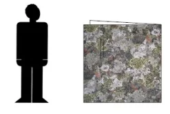 Jervenduken Thermo Forest| Naamiointi