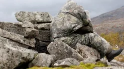 Jervenduken Naamiointi^Thermo Mountain