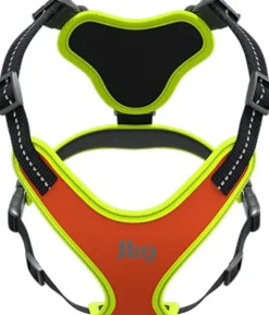 Julius K9 Mantrailing Sele valjaat, M-XL, oranssi| Valjaat