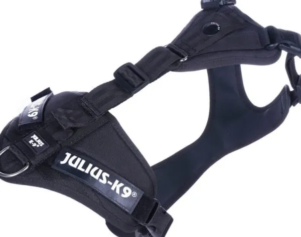 Julius K9 Mantrailing Sele valjaat, XS-S, musta| Valjaat