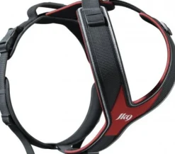 Julius K9 Valjaat^Speed Harness koiran valjaat, koko L, punainen