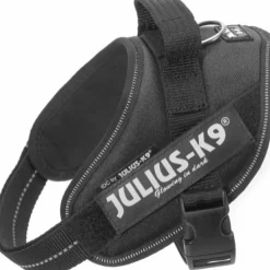 Julius K9 Julius-K9 IDC Mini -valjaat (49-67 cm)| Valjaat