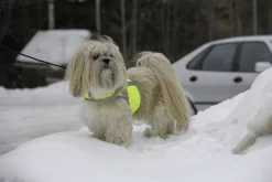 Kivalo Liivit^Kaamos Dog Reflective Vest heijastinliivi koirille, M-L, keltainen