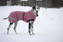 Kivalo Talvitakit^Luosto Dog Winter Jacket koiran talvitakki, 50 cm, pinkki