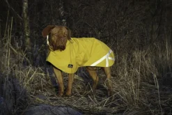 Kivalo Sadetakit^Niva Dog Raincoat koiran sadetakki, 45 cm, keltainen
