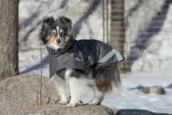 Kivalo Sadetakit^Niva Dog Raincoat koiran sadetakki, 50cm, harmaa