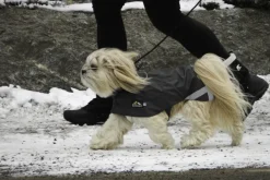 Kivalo Sadetakit^Niva Dog Raincoat koiran sadetakki, 50cm, harmaa