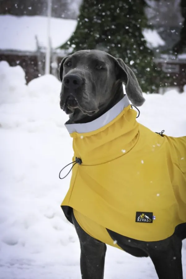 Kivalo Niva Dog Raincoat koiran sadetakki, 40 cm, keltainen| Sadetakit