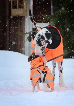 Kivalo Ohto Dog Wind Jacket koiran tuulitakki, 35 cm, oranssi| Sadetakit