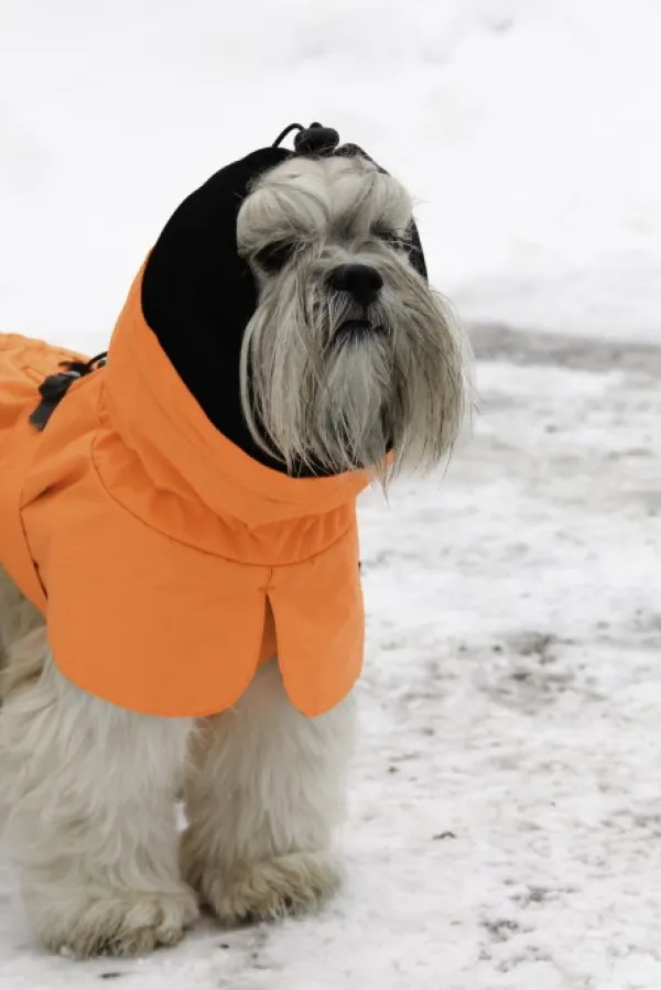 Kivalo Ohto Dog Wind Jacket koiran tuulitakki, 35 cm, oranssi| Sadetakit