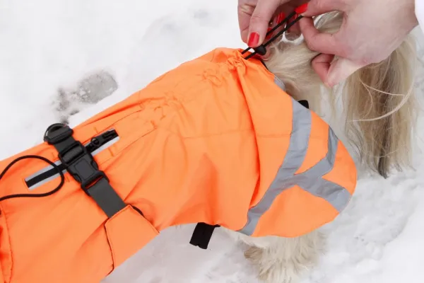 Kivalo Ohto Dog Wind Jacket koiran tuulitakki, 35 cm, oranssi| Sadetakit