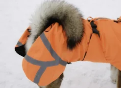 Kivalo Ohto Dog Wind Jacket koiran tuulitakki, 35 cm, oranssi| Sadetakit
