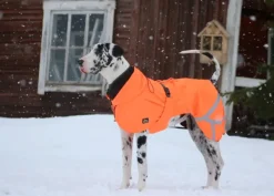 Kivalo Ohto Dog Wind Jacket koiran tuulitakki, 55 cm, oranssi| Sadetakit