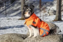Kivalo Ohto Dog Wind Jacket koiran tuulitakki, 55 cm, oranssi| Sadetakit