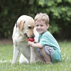 Kong Aktivointilelut^Classic koiranlelu, XL, punainen
