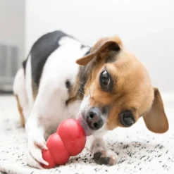 Kong Aktivointilelut^Classic koiranlelu, XXL, punainen