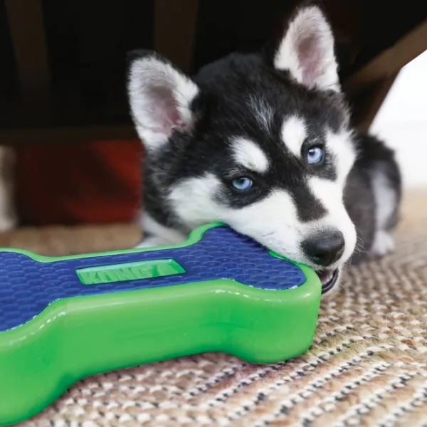 Kong Eon Bone koiranlelu, L| Aktivointilelut