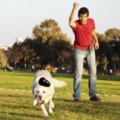 Kong Extreme koiran lelu, Large| Aktivointilelut