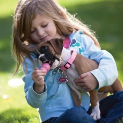 Kong Aktivointilelut^Puppy koiranpennun lelu, M, Mix