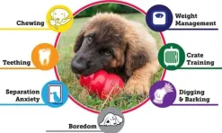 Kong Aktivointilelut^Puppy koiranpennun lelu, L, Mix