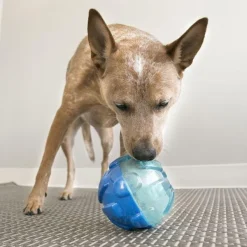 Kong Aktivointilelut^Reward Ball koiranlelu, Large