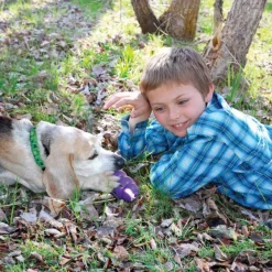 Kong Senior koiranlelu, M| Aktivointilelut