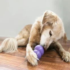 Kong Senior koiranlelu, M| Aktivointilelut