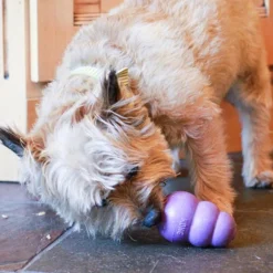 Kong Senior koiranlelu, M| Aktivointilelut