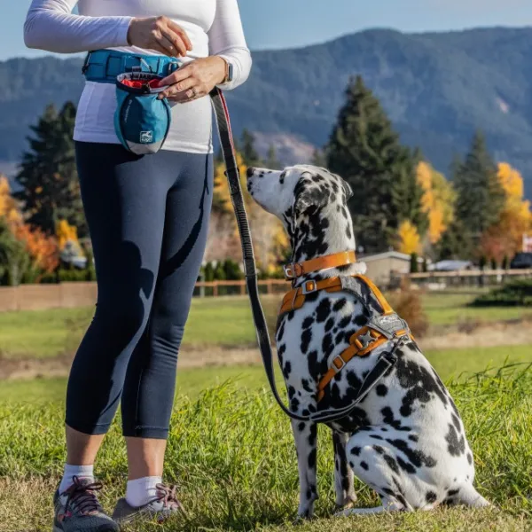 Kurgo Go Stuff It Treat Bag makupalapussi, tummansininen| Makupalat